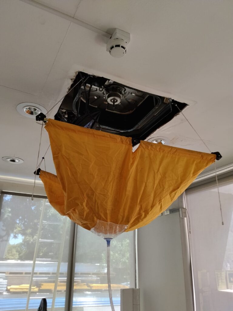 WhatsApp Image 2026-03-28 at 01.11.35